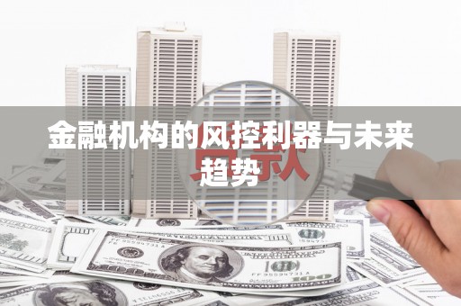 高淳金融机构的风控利器与未来趋势
