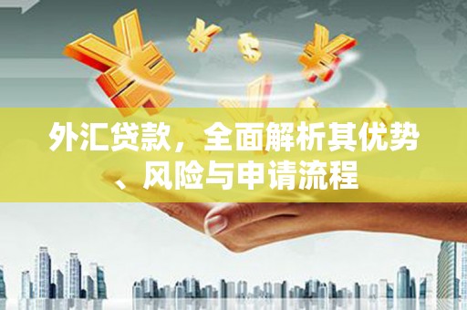 高淳外汇贷款，全面解析其优势、风险与申请流程