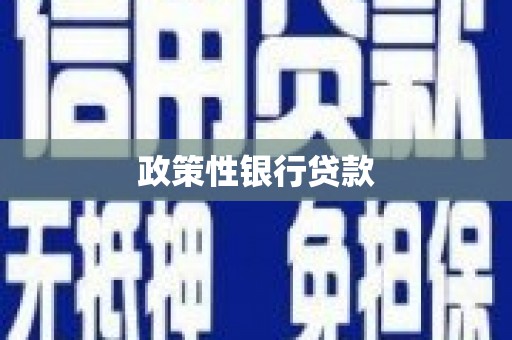 高淳政策性银行贷款