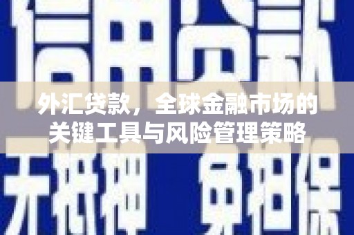 高淳外汇贷款，全球金融市场的关键工具与风险管理策略