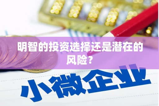 高淳明智的投资选择还是潜在的风险？