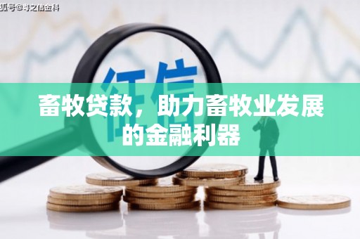 高淳畜牧贷款，助力畜牧业发展的金融利器