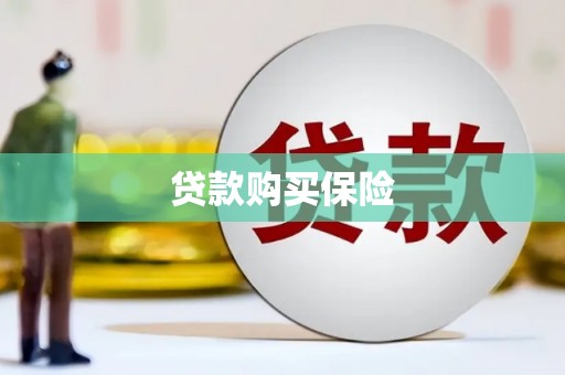 高淳贷款购买保险