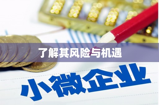 高淳了解其风险与机遇