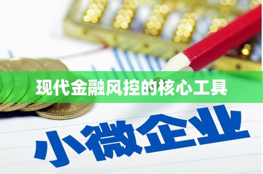 高淳现代金融风控的核心工具
