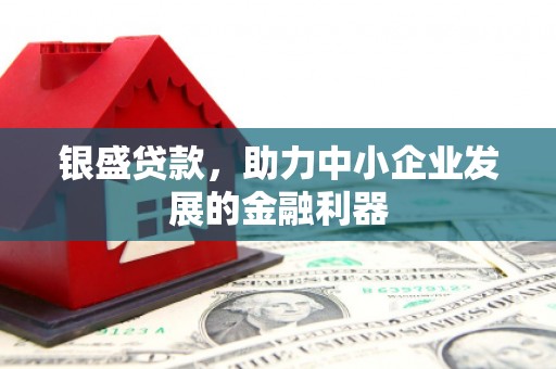 高淳银盛贷款，助力中小企业发展的金融利器