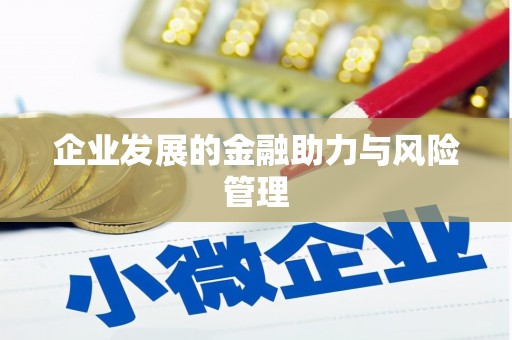 高淳企业发展的金融助力与风险管理