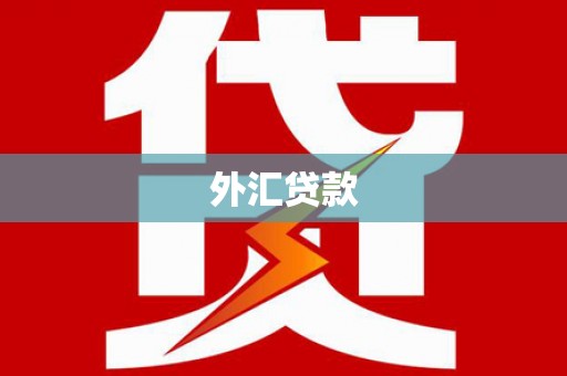 高淳外汇贷款
