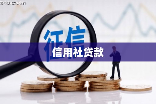 高淳信用社贷款