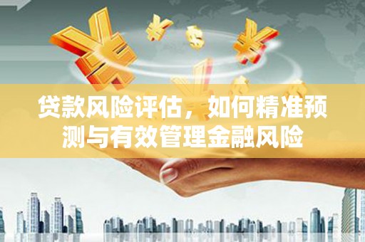 高淳贷款风险评估，如何精准预测与有效管理金融风险