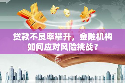 高淳贷款不良率攀升，金融机构如何应对风险挑战？