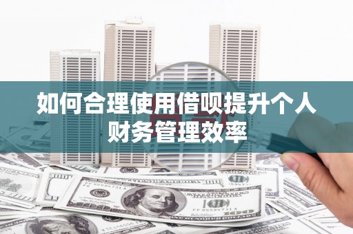 高淳如何合理使用借呗提升个人财务管理效率