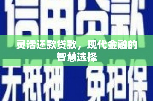 高淳灵活还款贷款，现代金融的智慧选择