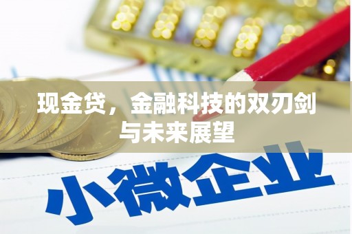 高淳现金贷，金融科技的双刃剑与未来展望