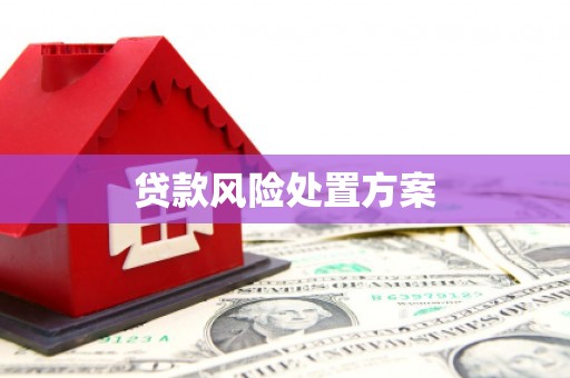 高淳贷款风险处置方案