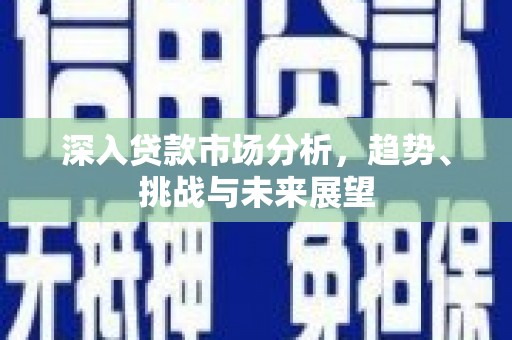 高淳深入贷款市场分析，趋势、挑战与未来展望