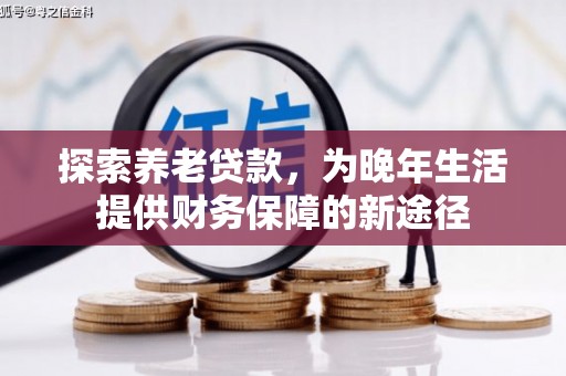 高淳探索养老贷款，为晚年生活提供财务保障的新途径