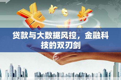 高淳贷款与大数据风控，金融科技的双刃剑