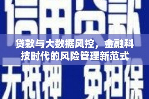 高淳贷款与大数据风控，金融科技时代的风险管理新范式