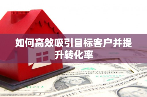 高淳如何高效吸引目标客户并提升转化率