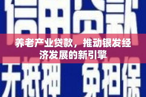 高淳养老产业贷款，推动银发经济发展的新引擎