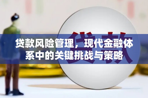 高淳贷款风险管理，现代金融体系中的关键挑战与策略