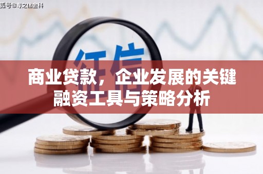 高淳商业贷款，企业发展的关键融资工具与策略分析