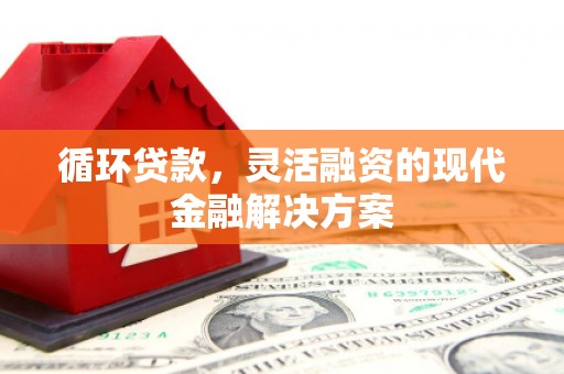 高淳循环贷款，灵活融资的现代金融解决方案