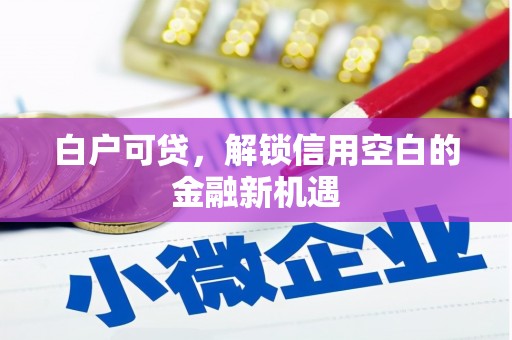 高淳白户可贷，解锁信用空白的金融新机遇