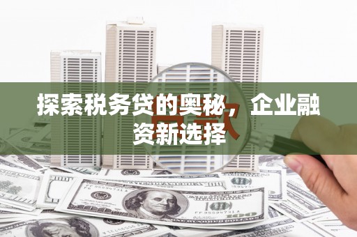 高淳探索税务贷的奥秘，企业融资新选择