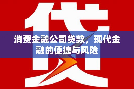 高淳消费金融公司贷款，现代金融的便捷与风险