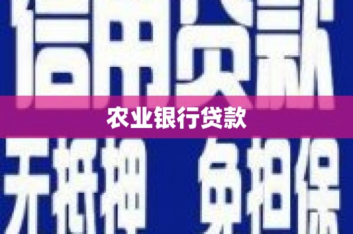高淳农业银行贷款