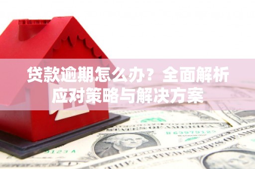 高淳贷款逾期怎么办？全面解析应对策略与解决方案