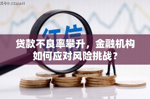 高淳贷款不良率攀升，金融机构如何应对风险挑战？