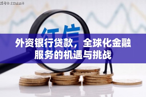 高淳外资银行贷款，全球化金融服务的机遇与挑战