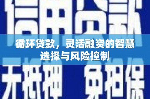 高淳循环贷款，灵活融资的智慧选择与风险控制