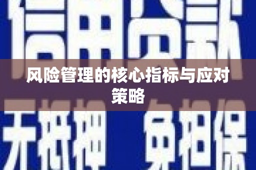 高淳风险管理的核心指标与应对策略