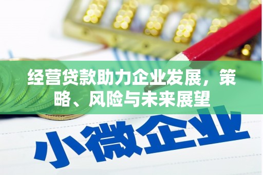 高淳经营贷款助力企业发展，策略、风险与未来展望