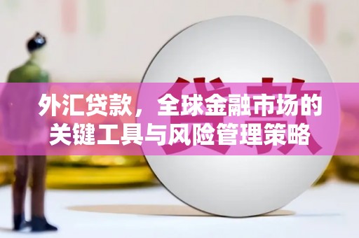 高淳外汇贷款，全球金融市场的关键工具与风险管理策略