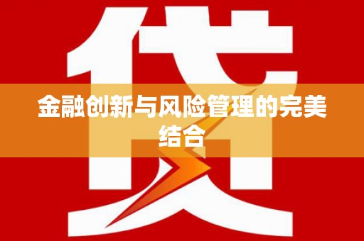 高淳金融创新与风险管理的完美结合