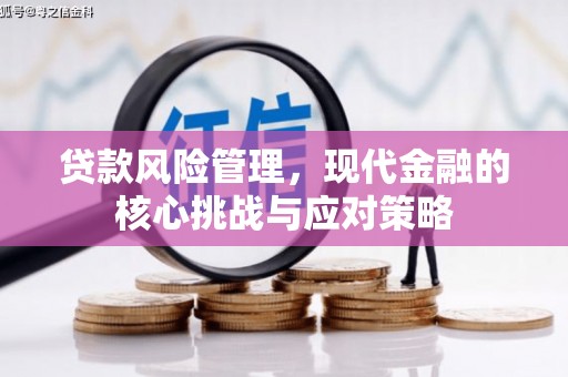 高淳贷款风险管理，现代金融的核心挑战与应对策略