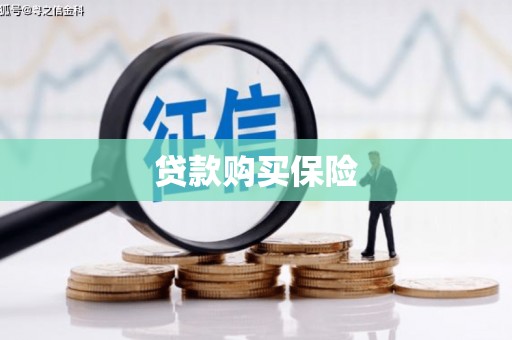 高淳贷款购买保险