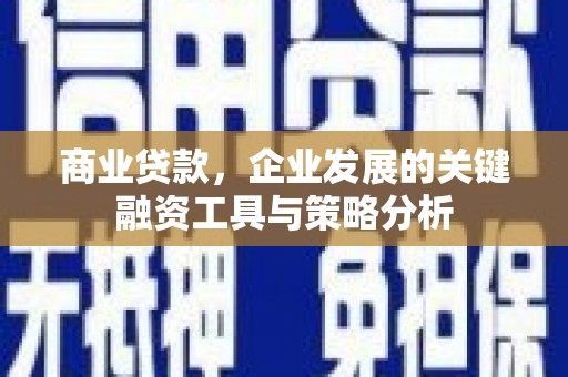 高淳商业贷款，企业发展的关键融资工具与策略分析