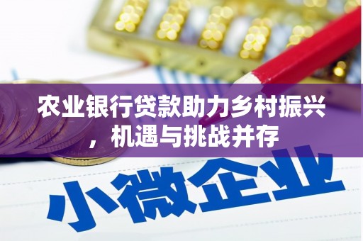 高淳农业银行贷款助力乡村振兴，机遇与挑战并存
