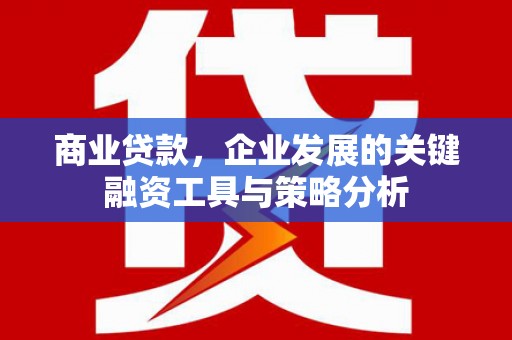 高淳商业贷款，企业发展的关键融资工具与策略分析