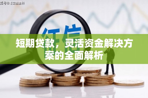 高淳短期贷款，灵活资金解决方案的全面解析