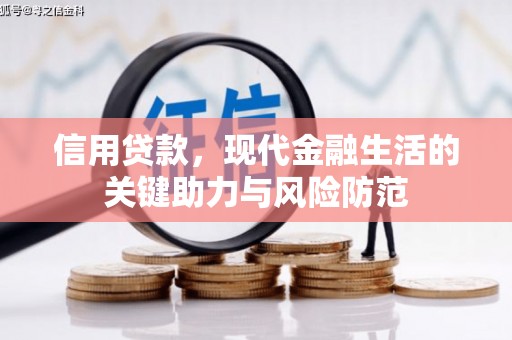 高淳信用贷款，现代金融生活的关键助力与风险防范