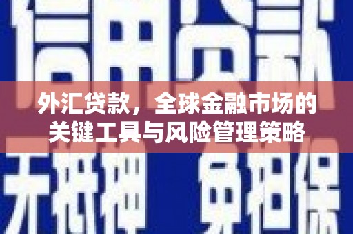 高淳外汇贷款，全球金融市场的关键工具与风险管理策略