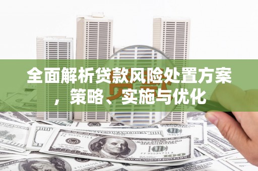 高淳全面解析贷款风险处置方案，策略、实施与优化