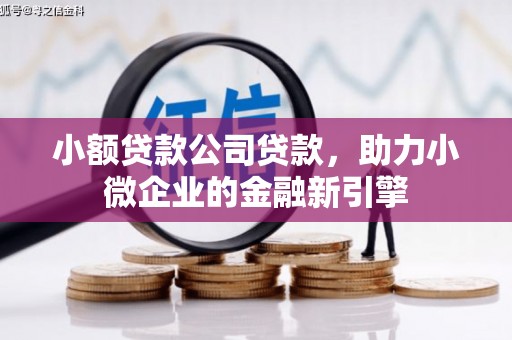 高淳小额贷款公司贷款，助力小微企业的金融新引擎